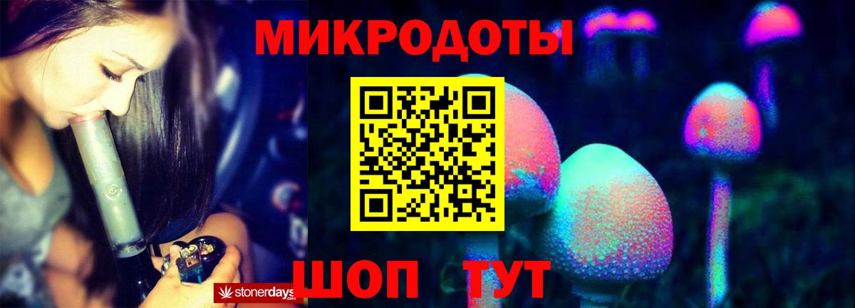 Псилоцибиновые грибы мицелий Мурино